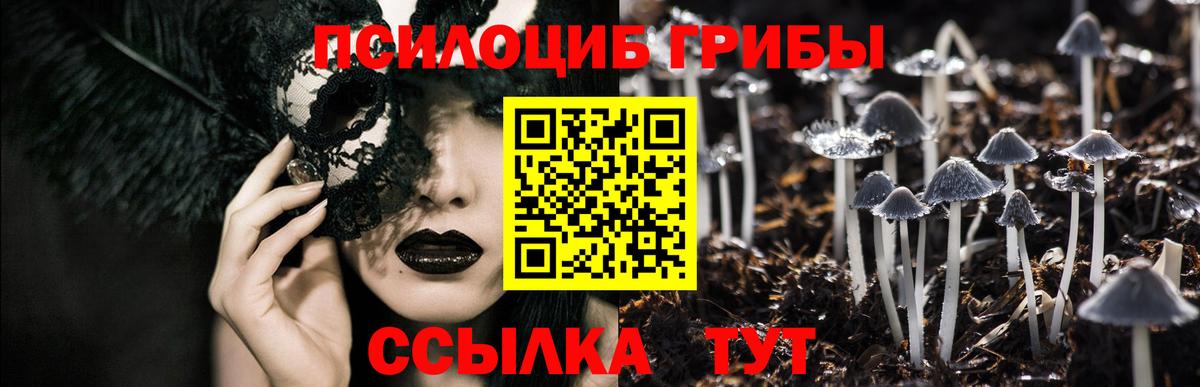 Галлюциногенные грибы ЛСД  Псилоцибиновые грибы ЛСД  Вход с VPN  Кимовск 